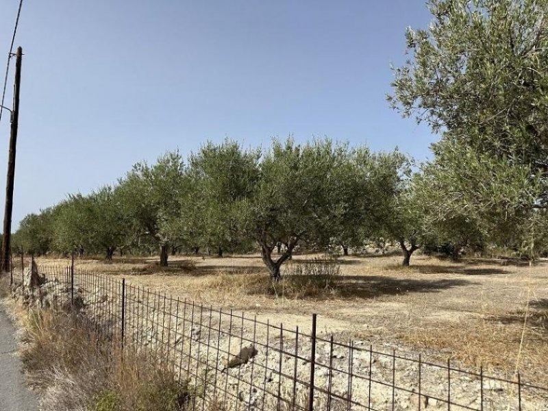 Arkadi Kreta, Asteri: Grundstück mit Meerblick zu verkaufen Grundstück kaufen